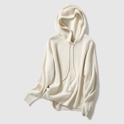 Knitted Hooded Winter Sweater Women Soft Warm Knitwear 1